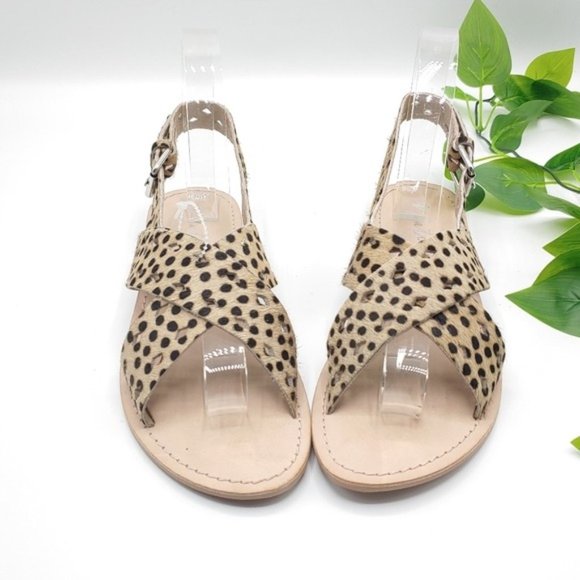 Matisse Leopard Arielle Cow Hair Sandals 9M‎ NEW - Picture 2 of 9